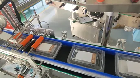 Top Labeling Machine
